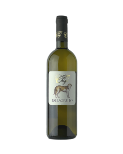 VIGNE CHIGI - Pallagrello White IGP - 75CL