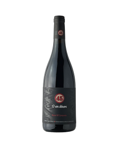 O VIN BBUON 45 - Campania Rosso IGP - 70CL