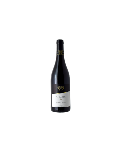 PINOT NERO VENETO