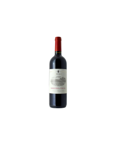 SANGIOVESE DI TOSCANA