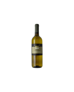 SAUVIGNON VENETO