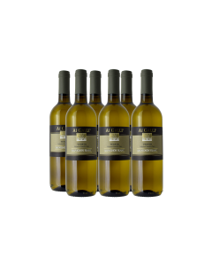 SAUVIGNON VENETO