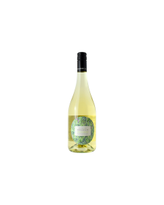 CHENIN BLANC - SOUTH AFRICA