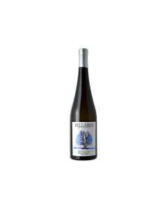 FALANGHINA IRPINIA DOC
