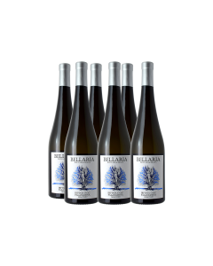 FALANGHINA IRPINIA DOC