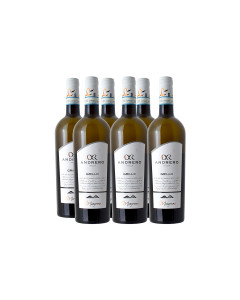 GRILLO SICILIA 'MONGRENO'