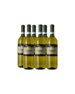 PINOT GRIGIO