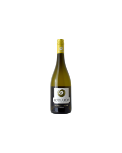 SAUVIGNON BLANC 'MARLBOROUGH' - NEW ZEALAND