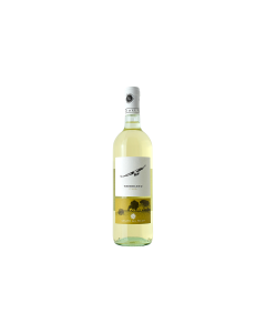 TREBBIANO D'ABRUZZO Falco