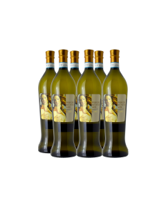 VERDICCHIO DEI CASTELLI DI JESI - CLASSICO