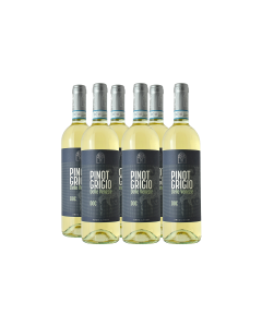 PINOT GRIGIO DELLE VENEZIE