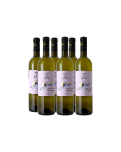 falanghina wine