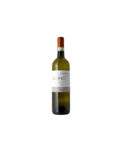 GAVI DI GAVI 'SORINO'