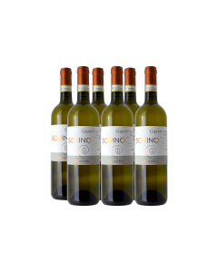 GAVI DI GAVI 'SORINO'
