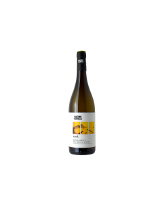 KATA CATALANESCA DEL MONTE SOMMA IGP