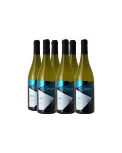 PINOT GRIGIO VENEZIA