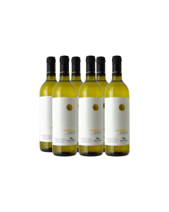 TREBBIANO RUBICONE IGT
