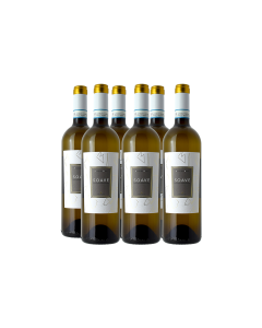 SOAVE 'VICOLO DEI BETTILI' DOC