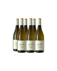 VERMENTINO 'AZZIZZATO' TERRE SICILIANE IGP