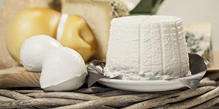 Dairy